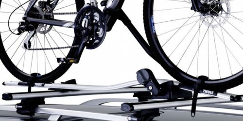 Thule ProRide 591 op dak